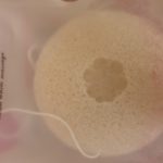 Спонж для лица конняку - цветок