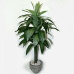 Искусственное растение драцена 100cm