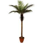 B230TC 500x500-500x500jk.jpg