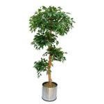 Искусственное растение  H180cm