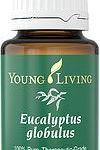 EUCALYPTUS GLOBULUS (ЭВКАЛИПТ ШАРОВИДНЫЙ) ЭФИРНОЕ МАСЛО 15ml