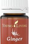 GINGER (ИМБИРЬ) 5ml