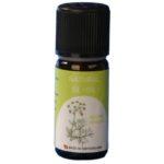 VIVASAN Эфирное масло фенхеля антиоксидантное, спазмолитическое,успокаивающее, мочегонное и мягкое слабительное действие