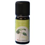 VIVASAN Эфирное масло базилика Поднимает настроение, проясняет сознание, повышает концентрацию, развивает интуицию 10ml