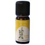 VIVASAN Melisas ēteriskā eļļa citronu balzams 10ml