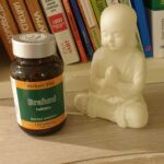 Barhmi atmiņai, koncentrācijai BRAHMI HERBALS DIET 120 tab